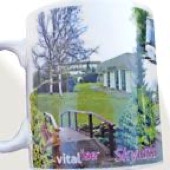 Photograph printed on bone china